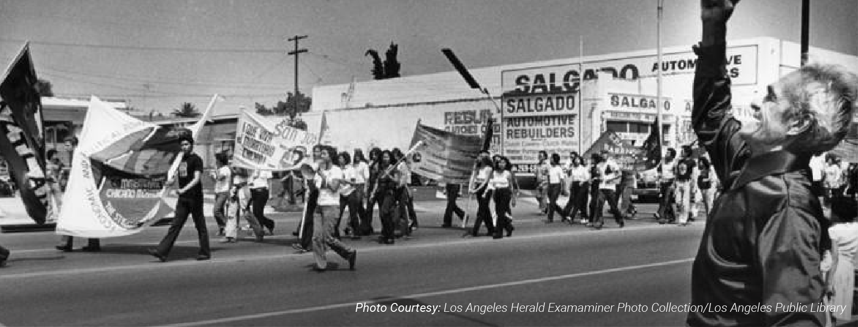 Protesters 